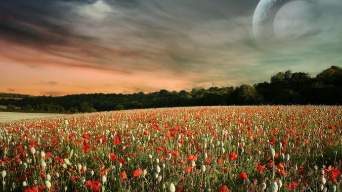 为什么美军“好像”不怕泄密?